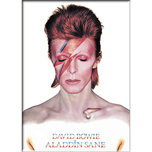 David Bowie- Aladdin Sane magnet