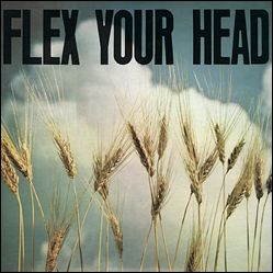 Show product details for V/A- Flex Your Head LP (32 Track Dischord Comp feat Minor Threat, Teen Idles, Youth Brigade, Iron Cross, Artificial Peace, Government Issue, and more!)
