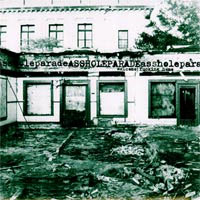 Asshole Parade- Welcome Fucking Home 7"