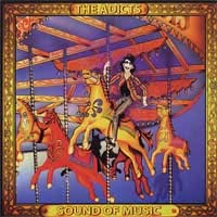Adicts- Sound Of Music LP (180 gram vinyl!)