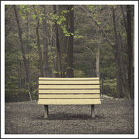 Streetlight Manifesto- The Hands That Thieve 2xLP