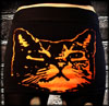 Cat Mini in Black by Rockin' Bones