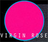 Virgin Rose Semi Permanent Hair Dye By Special Effects