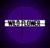 Wild Flower Semi Permanent Hair Dye By Special Effects