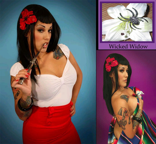 Show product details for Wicked Widow hair clips by Hairy Scary