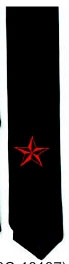 Embroidered Black Skinny Tie- Nautical Star