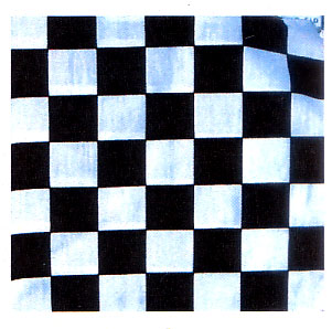 Black/White Checkered bandana