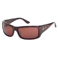 Chandler Sunglasses by Tres Noir- TORTOISE