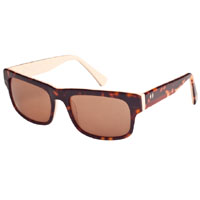 Upstart Sunglasses by Tres Noir- VINTAGE TORTOISE
