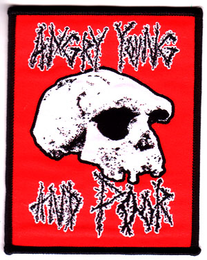 Angry Young And Poor- Skull embroidered patch