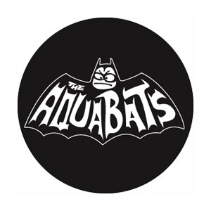 Aquabats- Batman Logo pin (pin227)