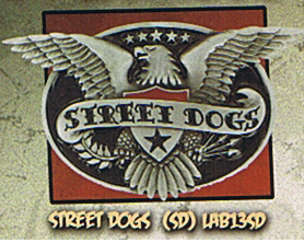 Street Dogs- Eagle belt buckle (bb346)