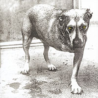 Alice In Chains- S/T CD