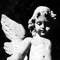Cold Cave- Cremations LP (Crystal Clear Heavy Black Smoke Vinyl)