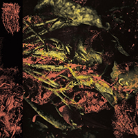 Hissing- Permanent Destitution LP