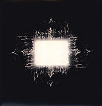 Tool- Aenima 2xLP (Color Vinyl)
