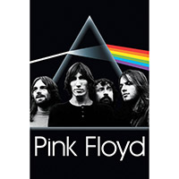 Pink Floyd- Dark Side Of The Moon Band Pic poster