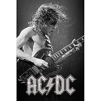 AC/DC- Angus Live poster