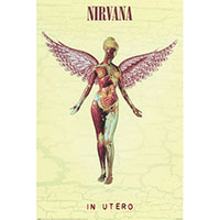 Nirvana- In Utero poster