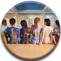Pink Floyd- Back Catalogue pin (pinX534)