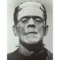 Frankenstein- Face sticker (st1285)