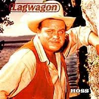 Lagwagon- Hoss 2xLP (Re-Issue With Bonus Tracks)