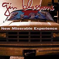 Gin Blossoms- New M...