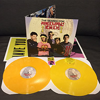 V/A- The Search For Animal Chin 2xLP (Yellow Vinyl) (Sale price!)