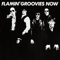 Flamin' Groovies- Now LP
