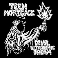 Teen Mortgage- Devil Ultrasonic Dream LP
