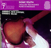 Sonic Youth- J'Accuse Ted Hughes LP