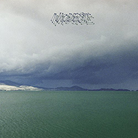 Modest Mouse- The Fruit That Ate Itself LP (Sale price!)