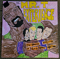 Mr T Experience- Everybody's Entitled To Their Own Opinion LP (Red Vinyl) (USED)