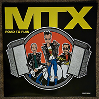 Mr T Experience- Road To Ruin LP (USED)