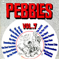 V/A- Pebbles Volume 7, Original Punk Artyfacts From The First Punk Era LP