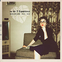 Mr T Experience- Shards Volume 3 LP (Sale price!)