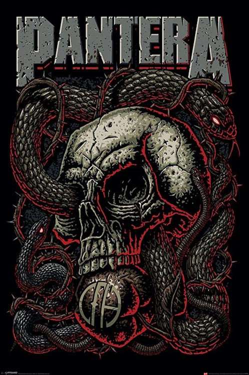 Pantera- Snake Eye Poster