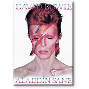 David Bowie- Aladdin Sane magnet