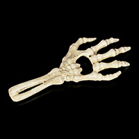 Skeletal Hand Bottle Opener by Alchemy of England - in vintage bone