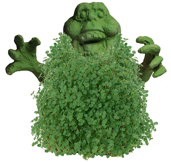 Ghostbusters- Slimer Chia Pet by NECA