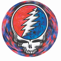 Grateful Dead- Spinning Skull magnet