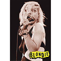 Blondie- Live Poster (C11)
