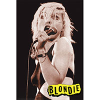 Blondie- Live Poster
