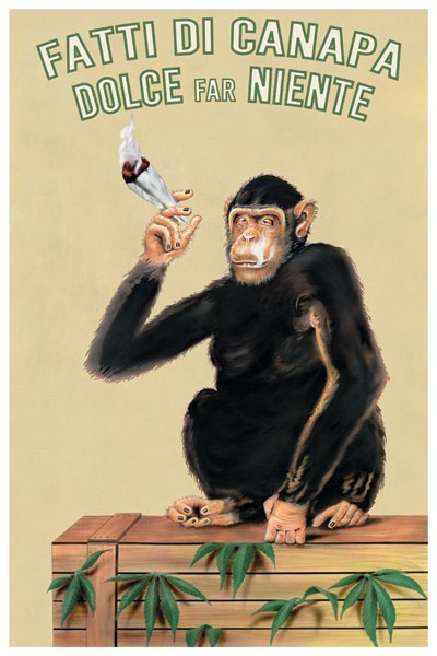Chimp With Joint poster