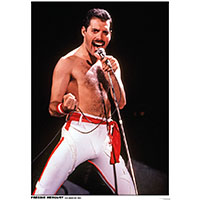Freddie Mercury- LA 1982 Poster (A6)