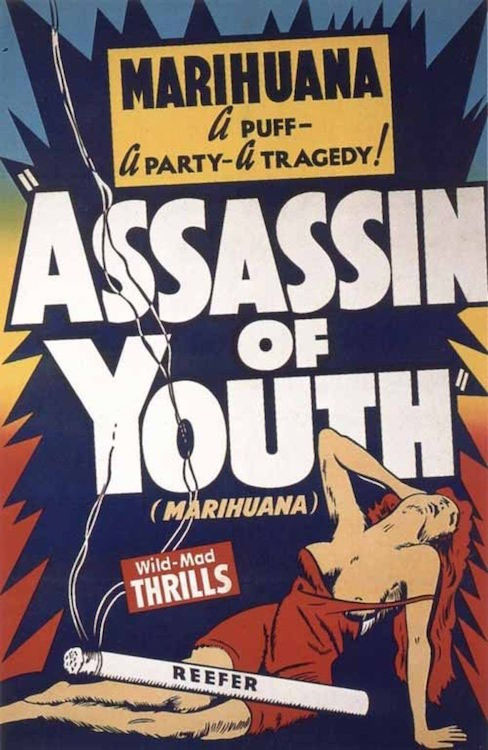 Marijuana- Assassin Of Youth poster