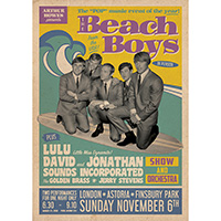 Beach Boys- In Person poster