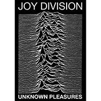 Joy Division- Unknown Pleasures poster