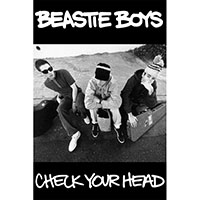 Beastie Boys- Check Your Head poster (C6)