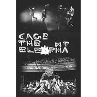 Cage The Elephant- Live Pics Poster